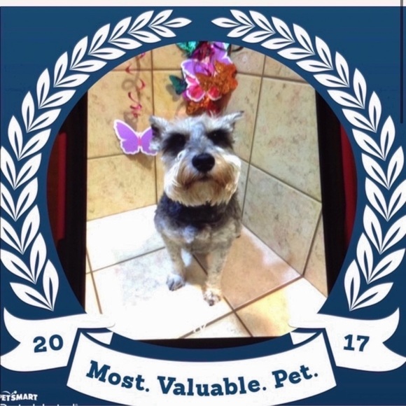 Meet your Posher, Cee - Picture 1 of 1